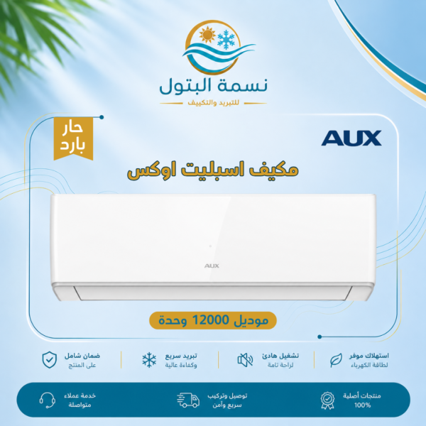 aux-split-ac-12000-btu-hot-cold.jpg